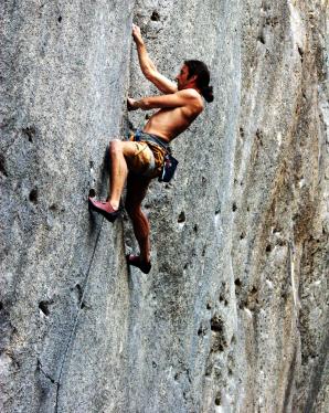 Fly on the wall