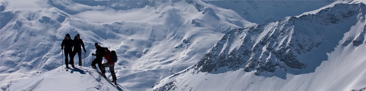 Seekopf